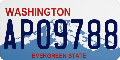 WA license plate APO9788