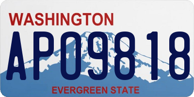 WA license plate APO9818