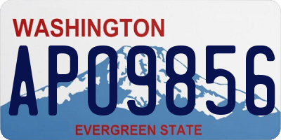 WA license plate APO9856
