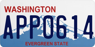 WA license plate APP0614