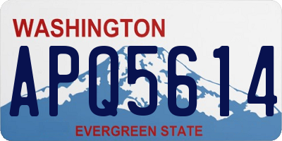 WA license plate APQ5614
