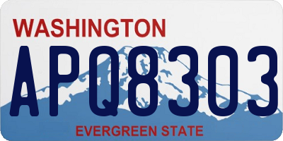 WA license plate APQ8303