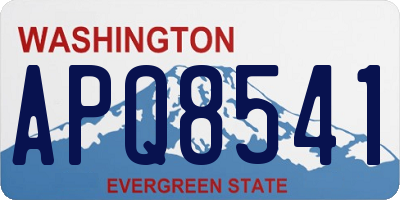 WA license plate APQ8541