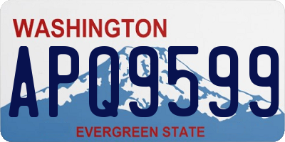 WA license plate APQ9599
