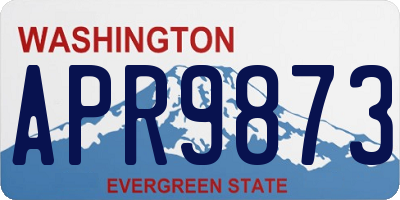 WA license plate APR9873