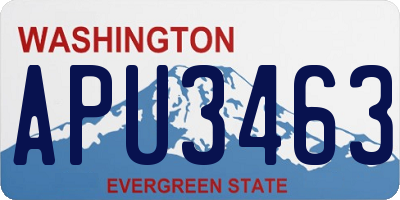 WA license plate APU3463
