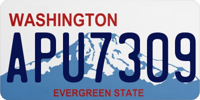 WA license plate APU7309