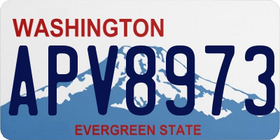 WA license plate APV8973