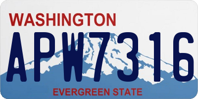 WA license plate APW7316