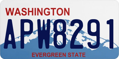 WA license plate APW8291