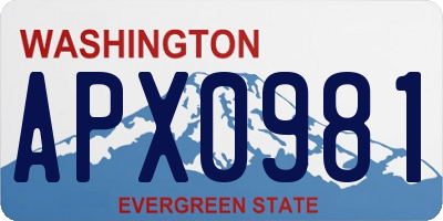 WA license plate APX0981