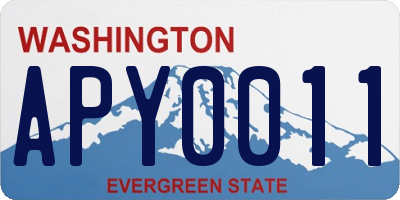 WA license plate APY0011