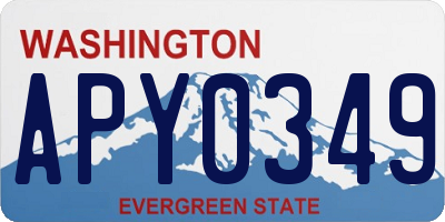 WA license plate APY0349