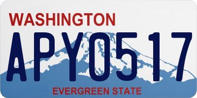 WA license plate APY0517