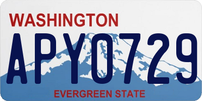 WA license plate APY0729