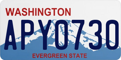 WA license plate APY0730