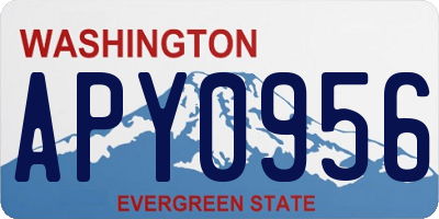 WA license plate APY0956