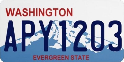 WA license plate APY1203