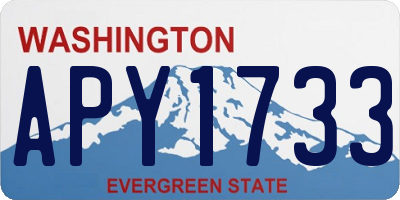 WA license plate APY1733
