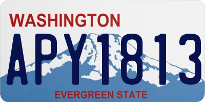 WA license plate APY1813
