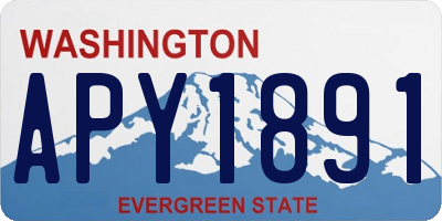 WA license plate APY1891