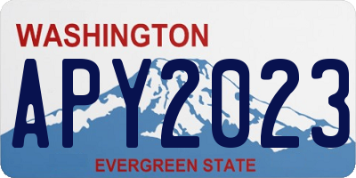 WA license plate APY2023