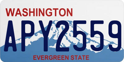 WA license plate APY2559