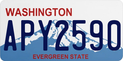 WA license plate APY2590