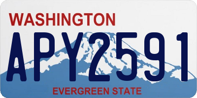 WA license plate APY2591