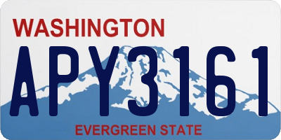 WA license plate APY3161