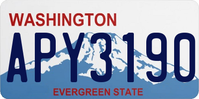 WA license plate APY3190