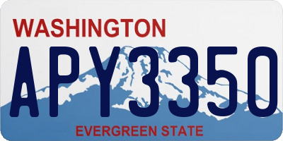 WA license plate APY3350