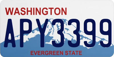 WA license plate APY3399