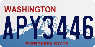 WA license plate APY3446