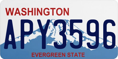 WA license plate APY3596