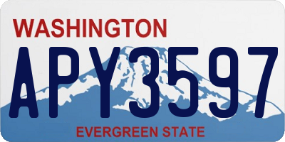 WA license plate APY3597