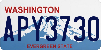 WA license plate APY3730