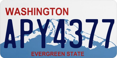 WA license plate APY4377