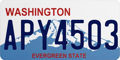WA license plate APY4503