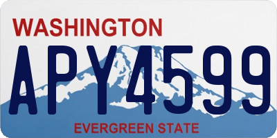 WA license plate APY4599