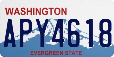 WA license plate APY4618