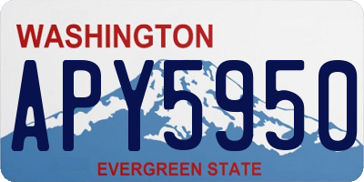WA license plate APY5950