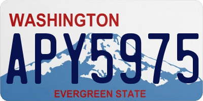 WA license plate APY5975