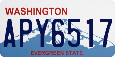 WA license plate APY6517