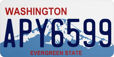 WA license plate APY6599