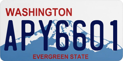 WA license plate APY6601