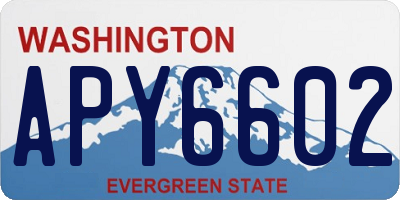 WA license plate APY6602