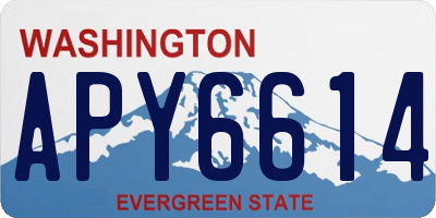 WA license plate APY6614