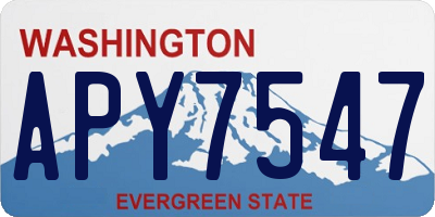 WA license plate APY7547