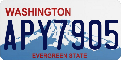 WA license plate APY7905